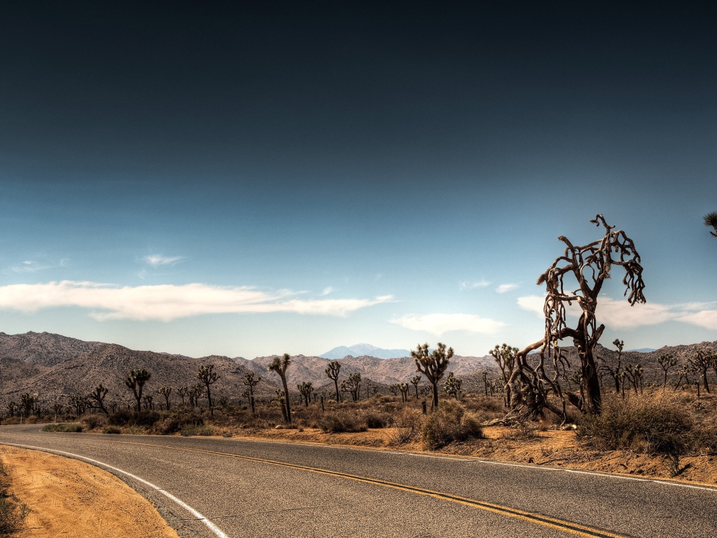 Дорога через пустыню