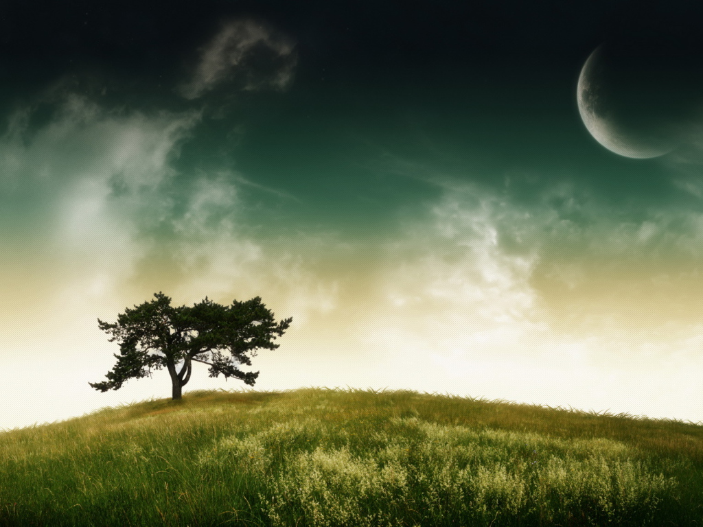 Дерево, небо, планета