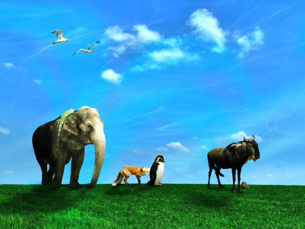 Дикие животные