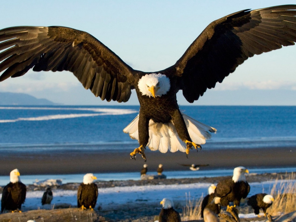 Грозный орел