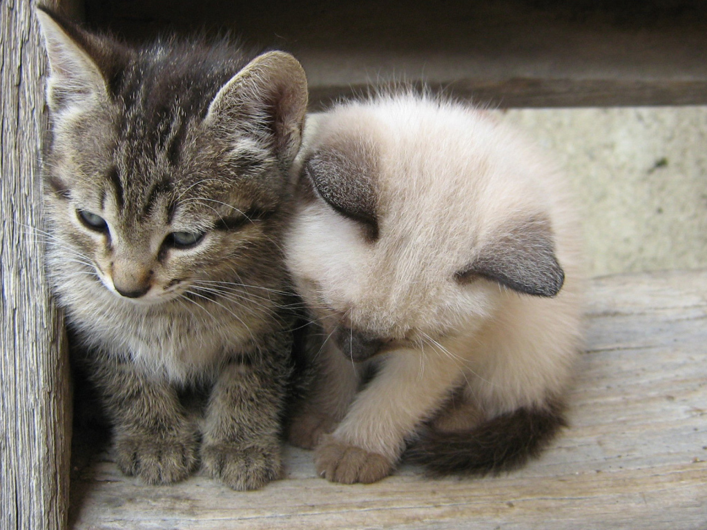 Вместе теплее