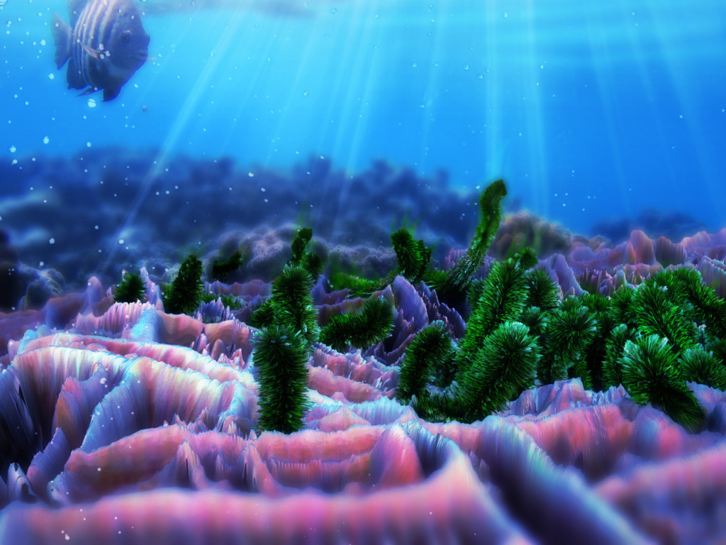 Жители морского дна