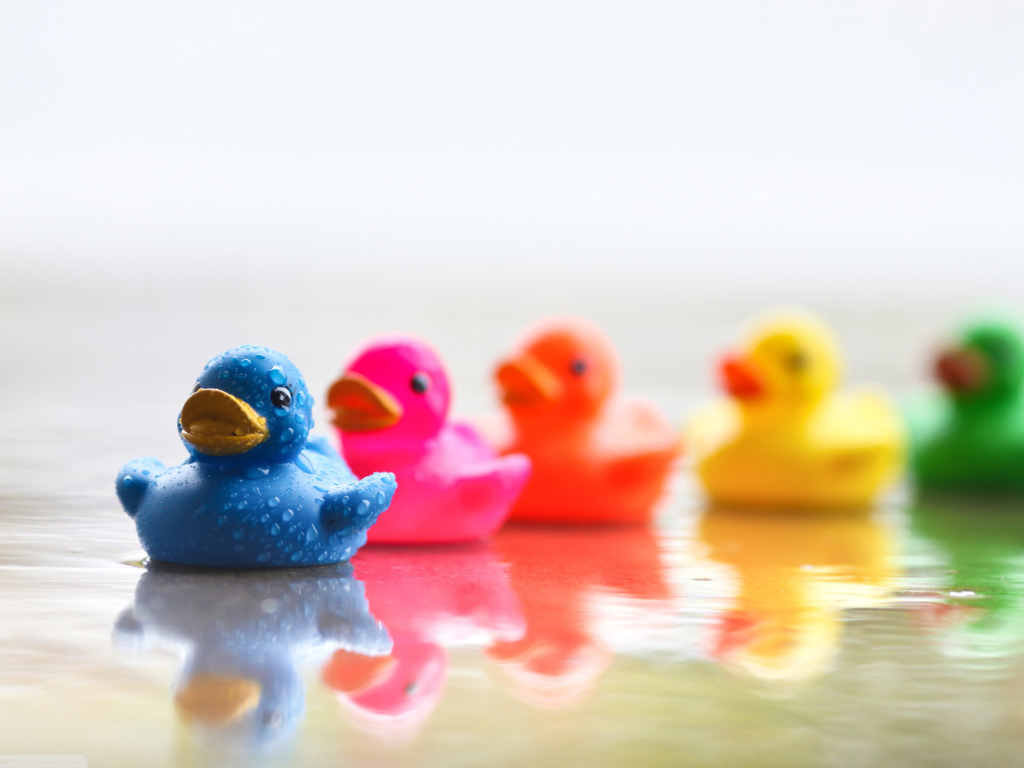 Цветные уточки