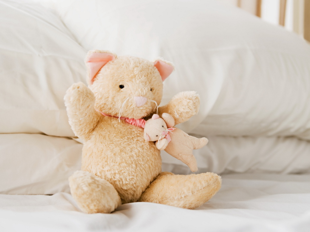 Плюшевые кошка и мышка