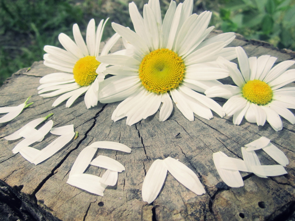 надпись Люблю