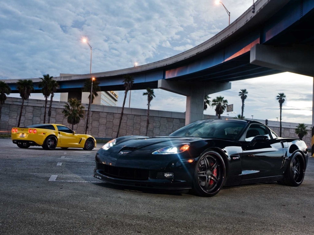 Chevrolet Corvette Z06 под мостом