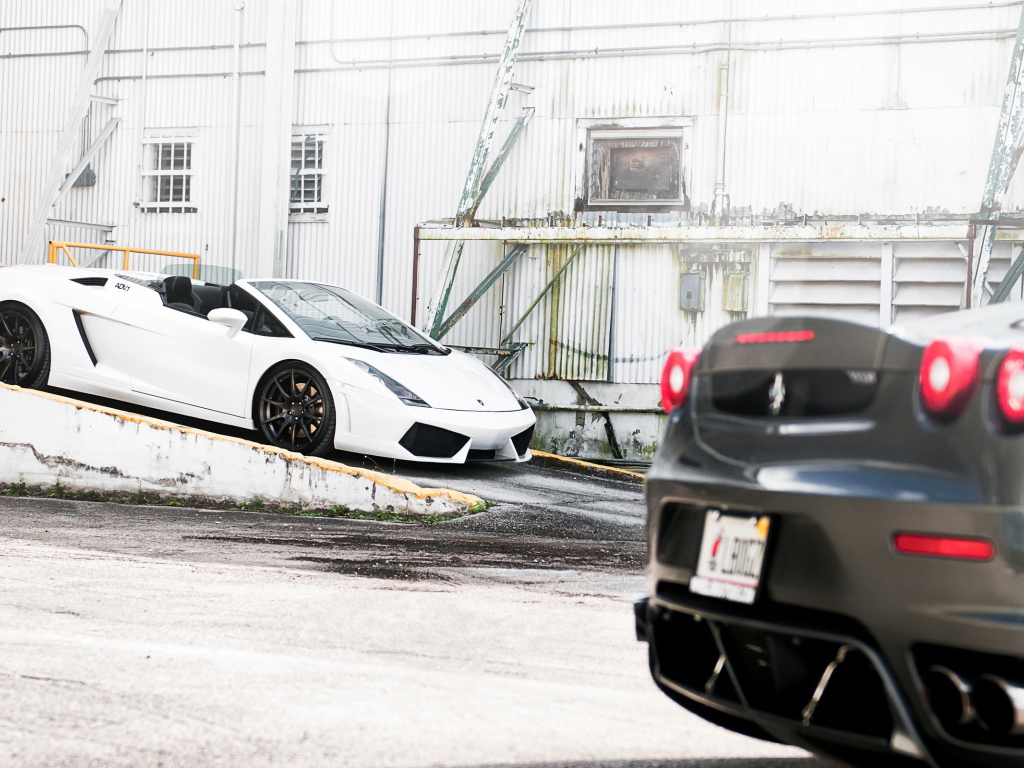 Lamborghini Gallardo and Ferrari