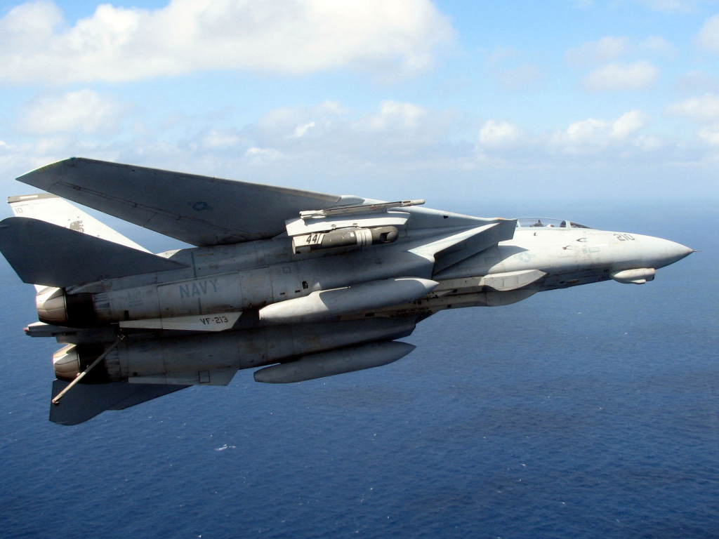 Grumman F-14 Tomcat