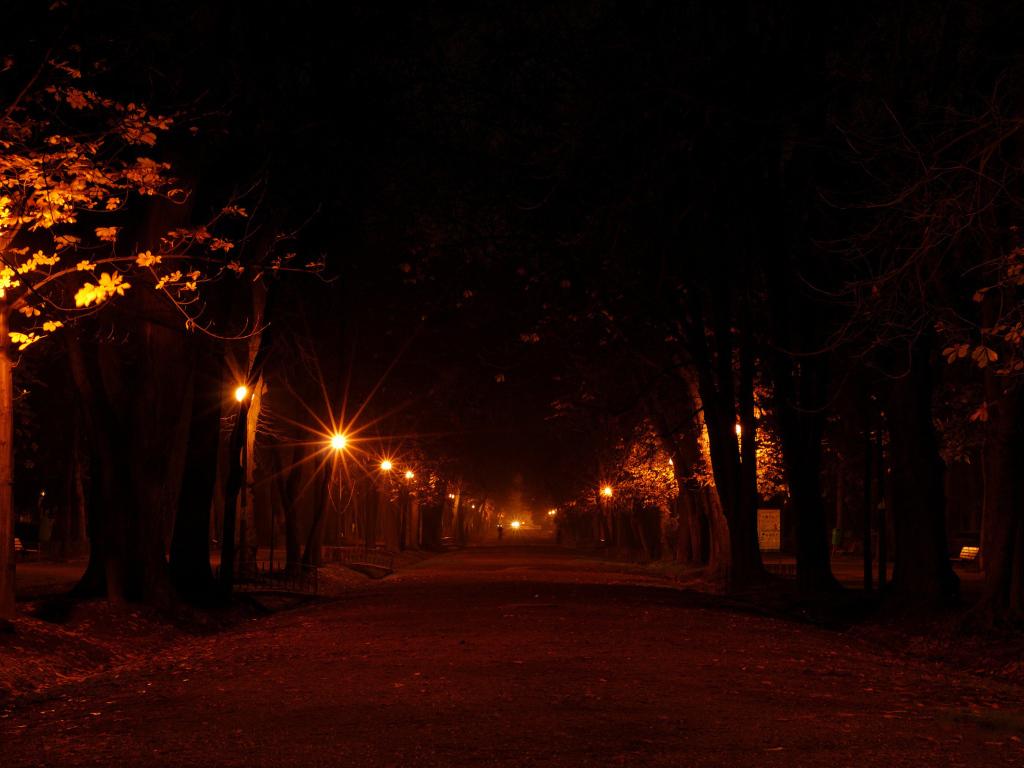 Аллея в огнях