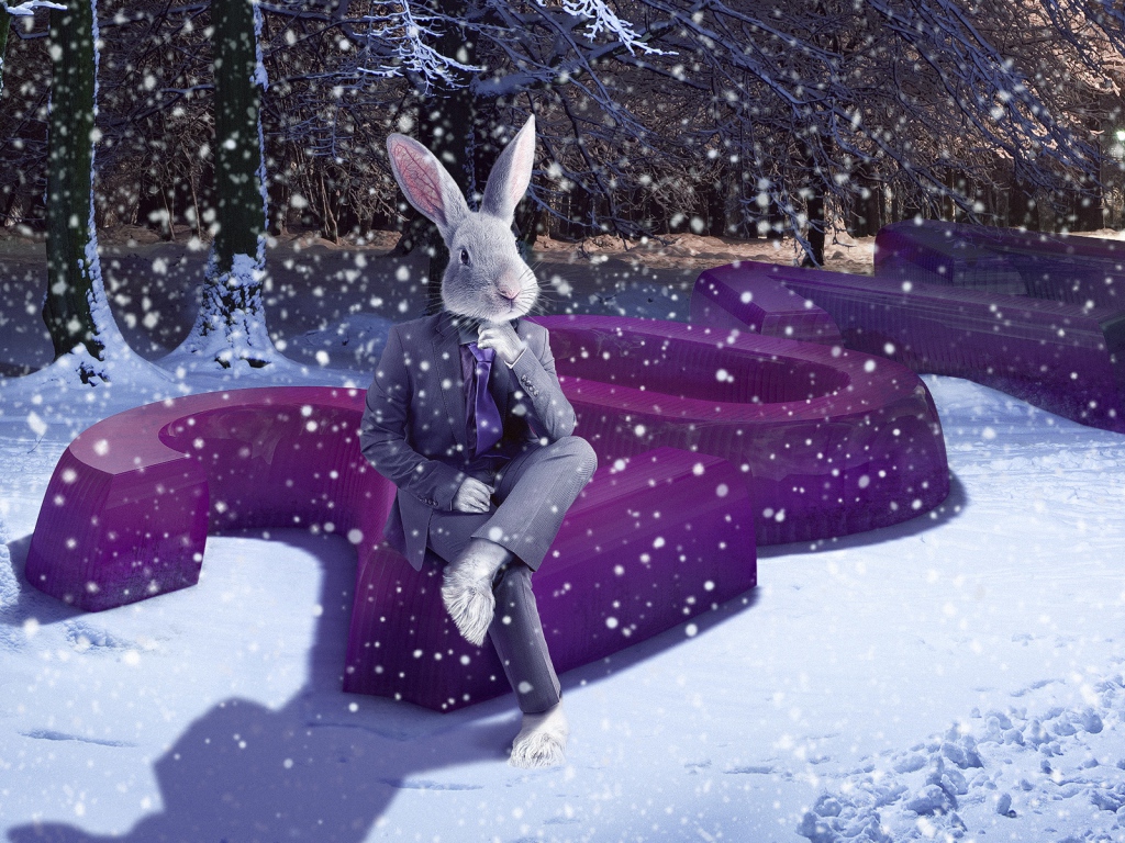 2011 Год зайца