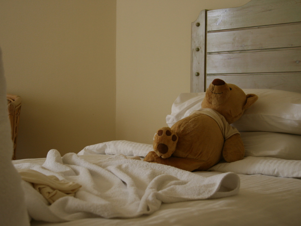 Мишка отдыхает