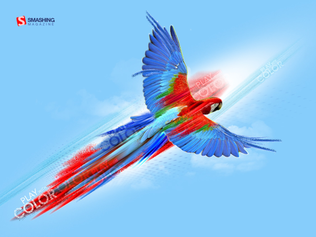 Попугай картина