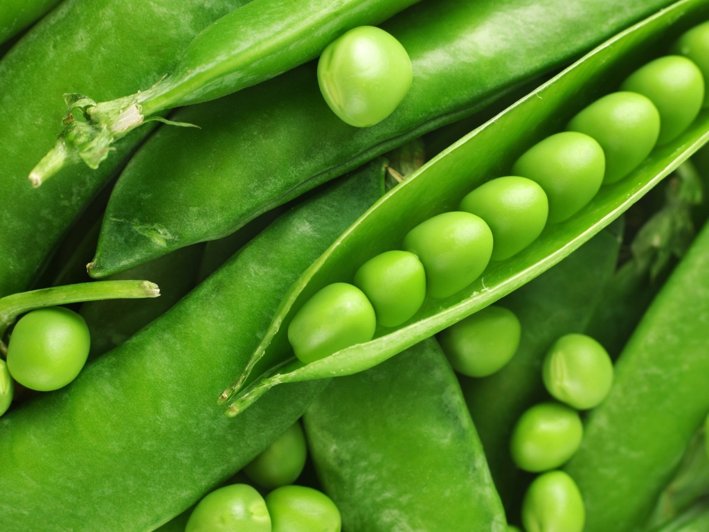 Зеленый горошек