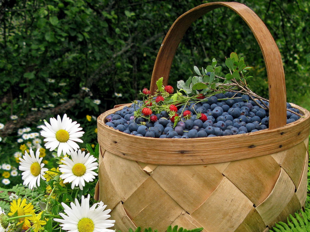 Корзина черники