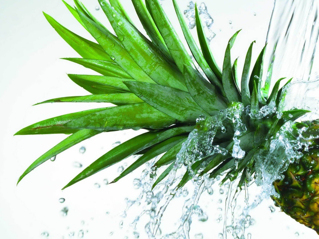 Свежий ананас