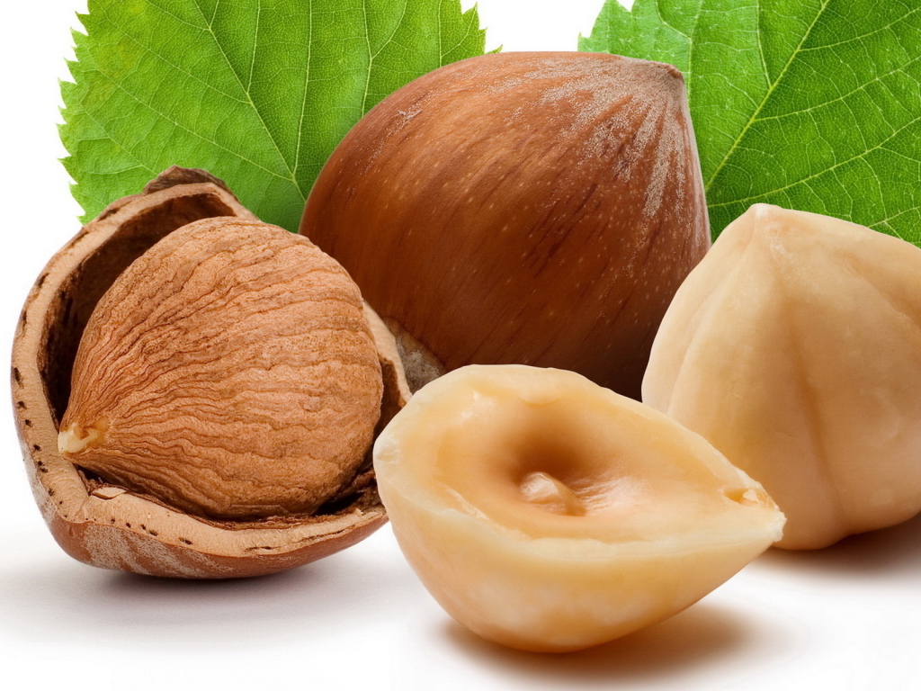 Лесные орехи