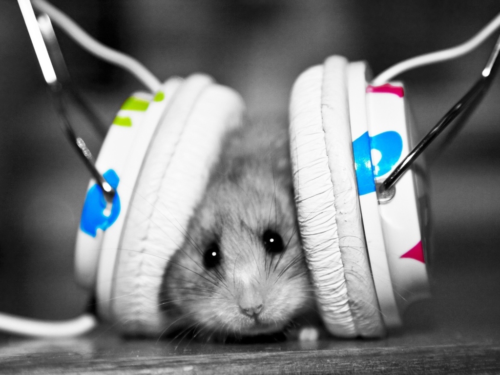 mouse - the music fan