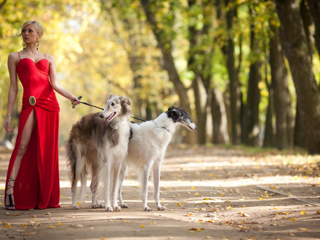 Девушка с собаками
