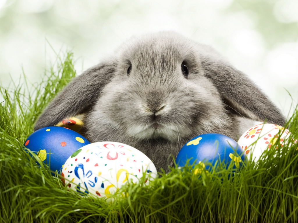 Кролик и яйца