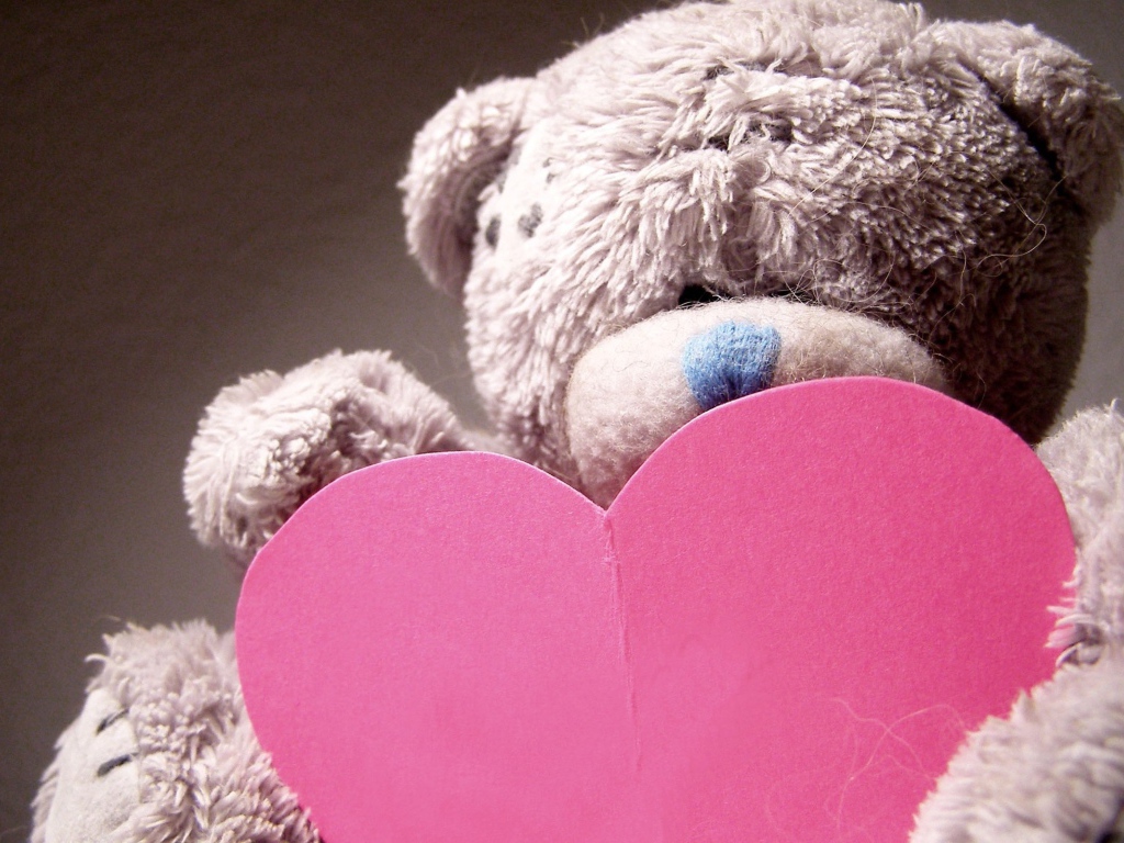 Признание в любви, мишка