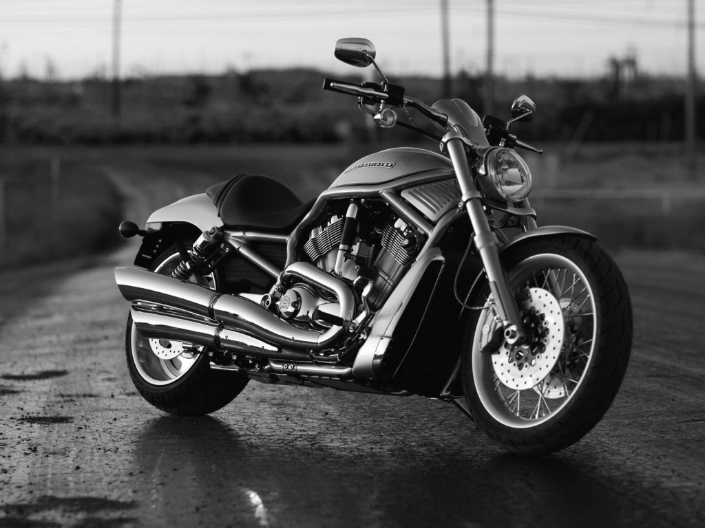 Harley Davidson  V-Rod