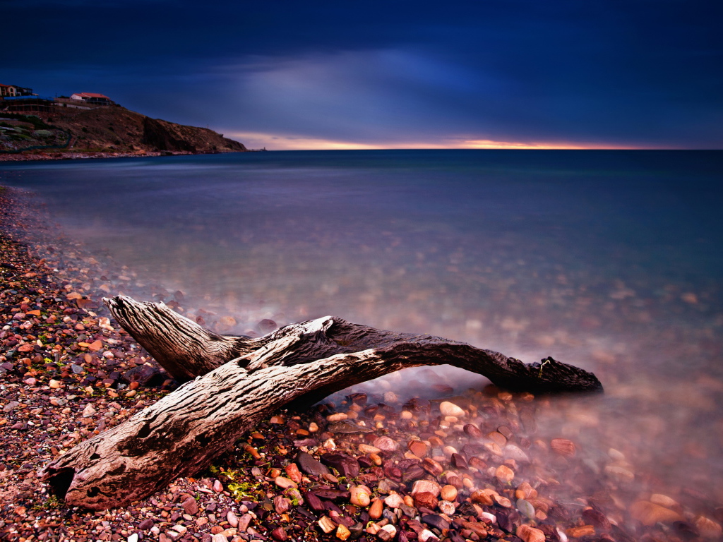 Коряга на берегу