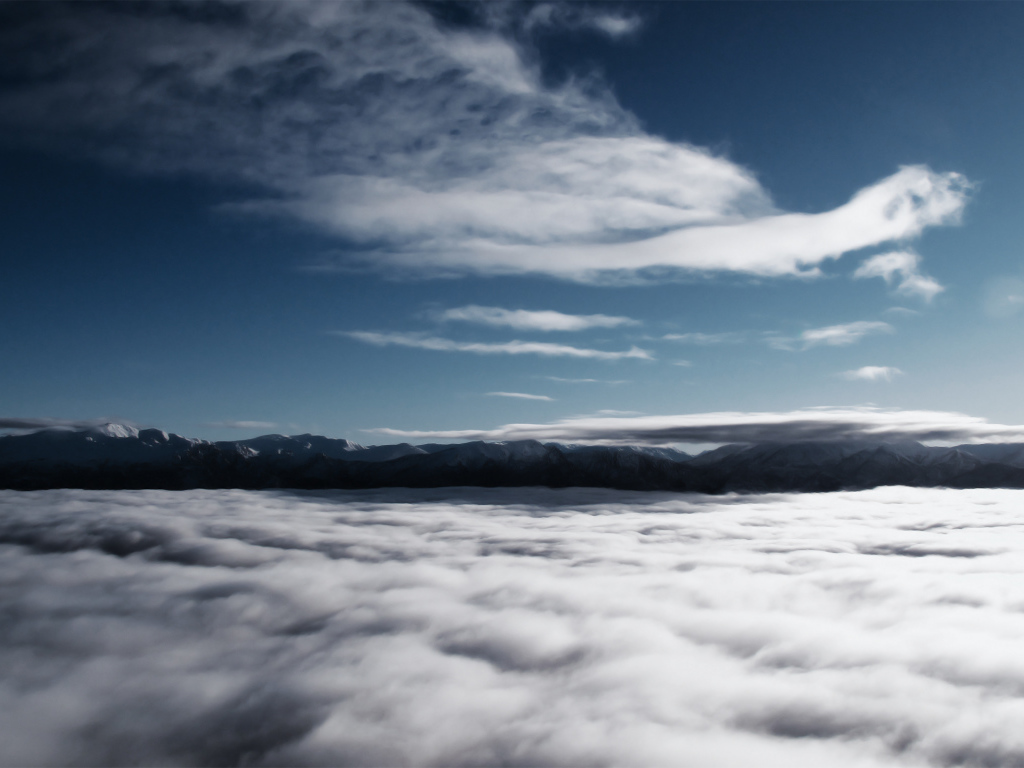 Летим со мной