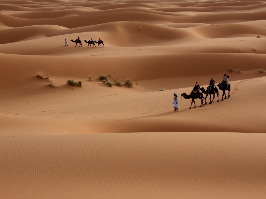 Прогулка по пустыне