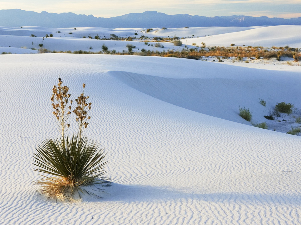 Белые пески