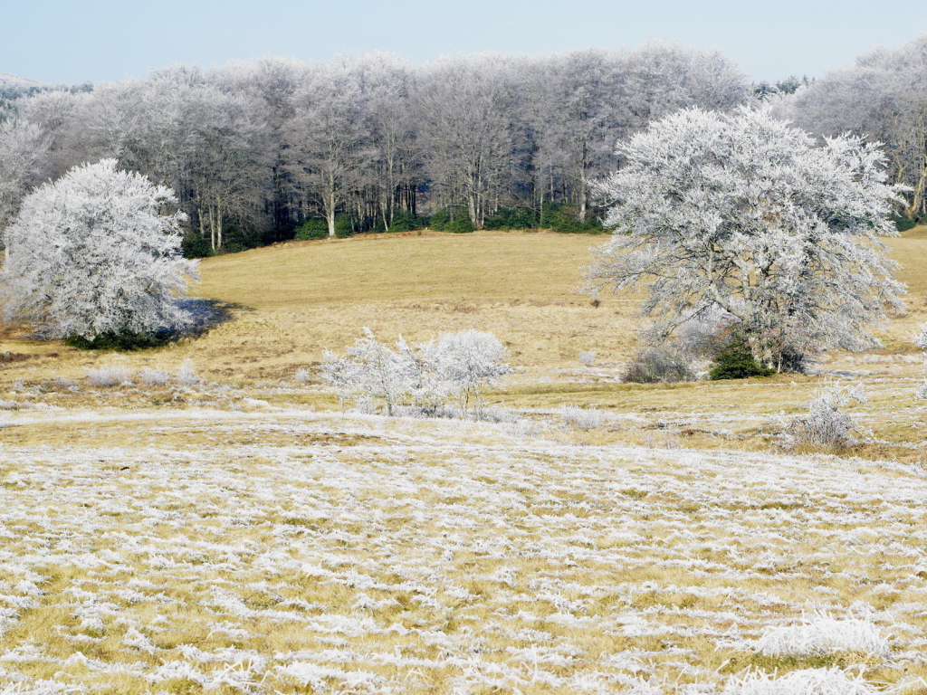 Холодным утром