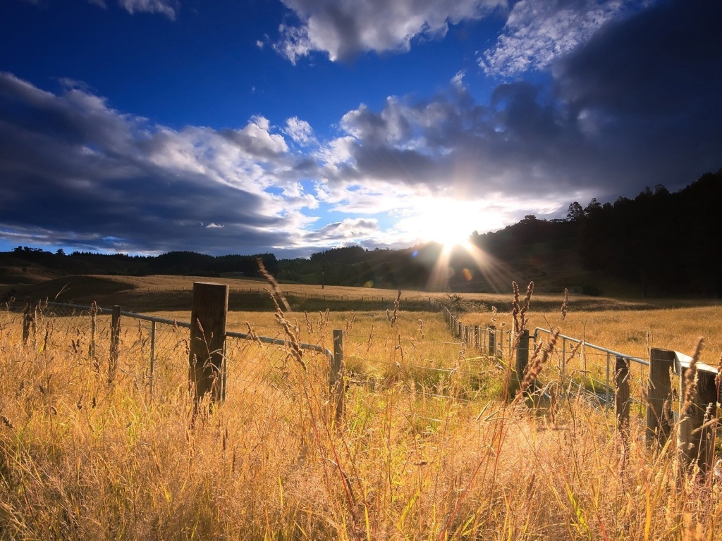 Огороженное поле