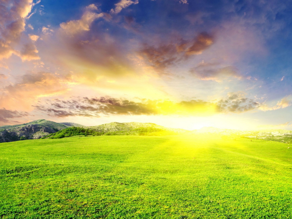 Зеленые луга