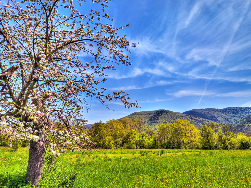Весенний пейзаж