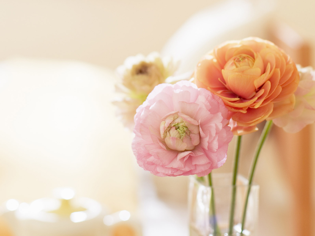 Нежные цветочки в вазе