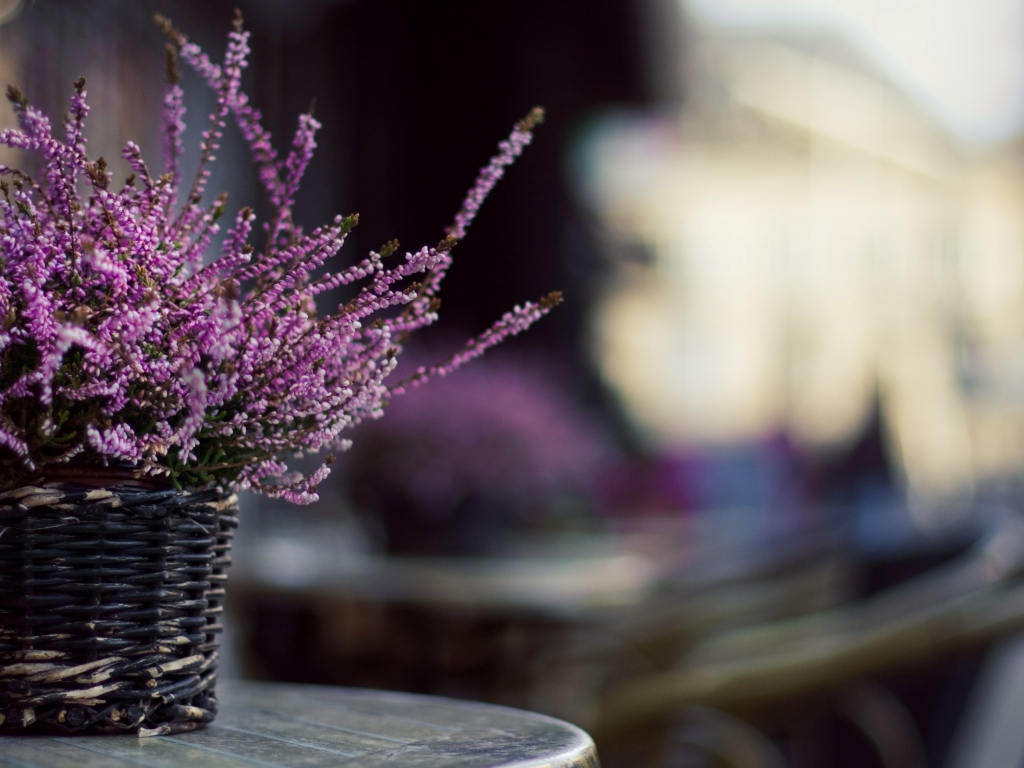 Цветы в корзинке