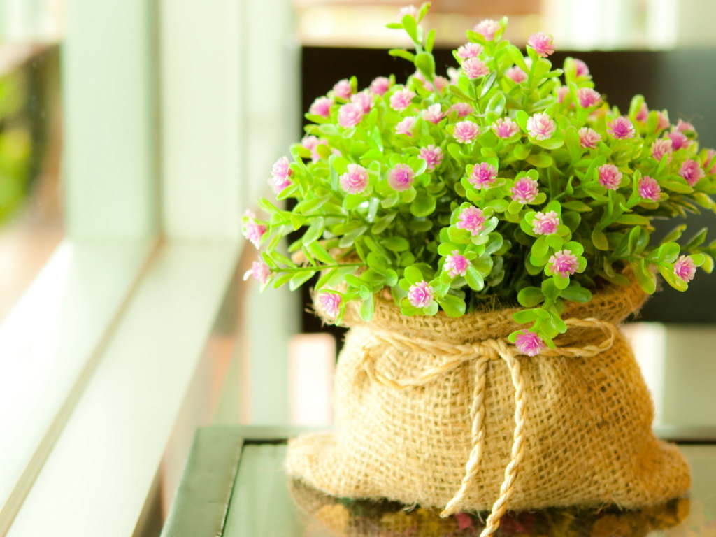 Мелкие цветочки