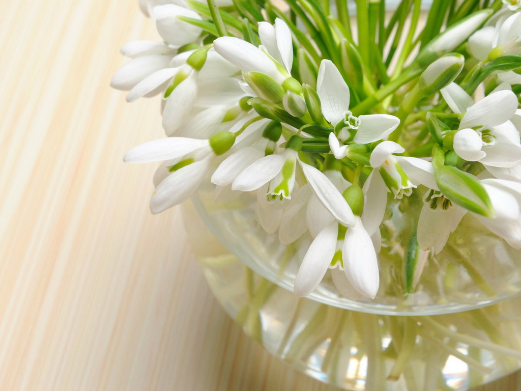 вазочка Подснежников