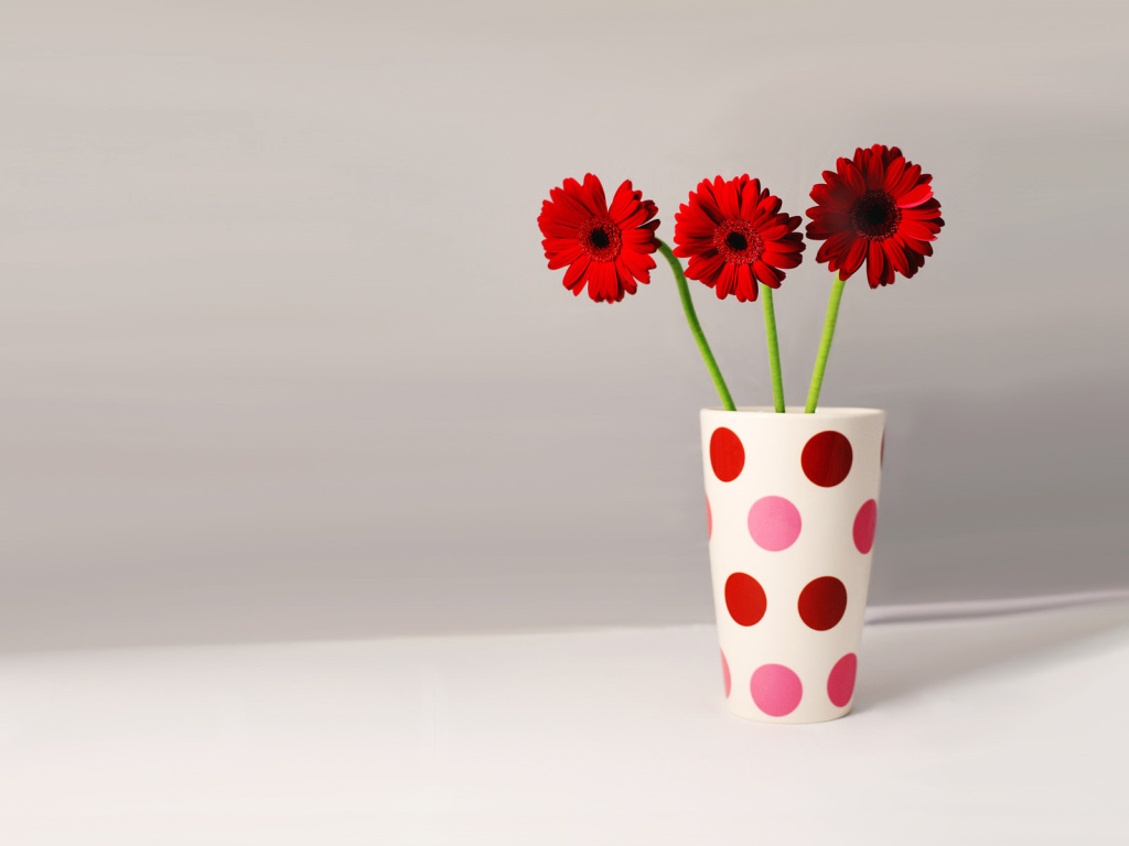 Три герберы