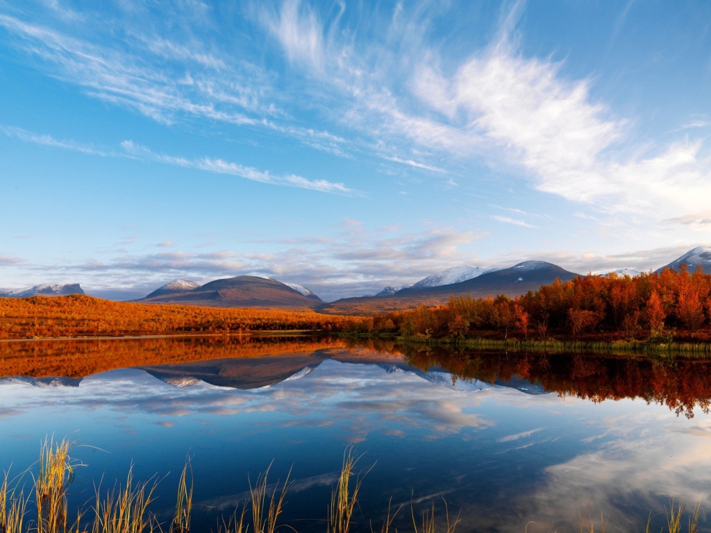 Осенний лес и озеро
