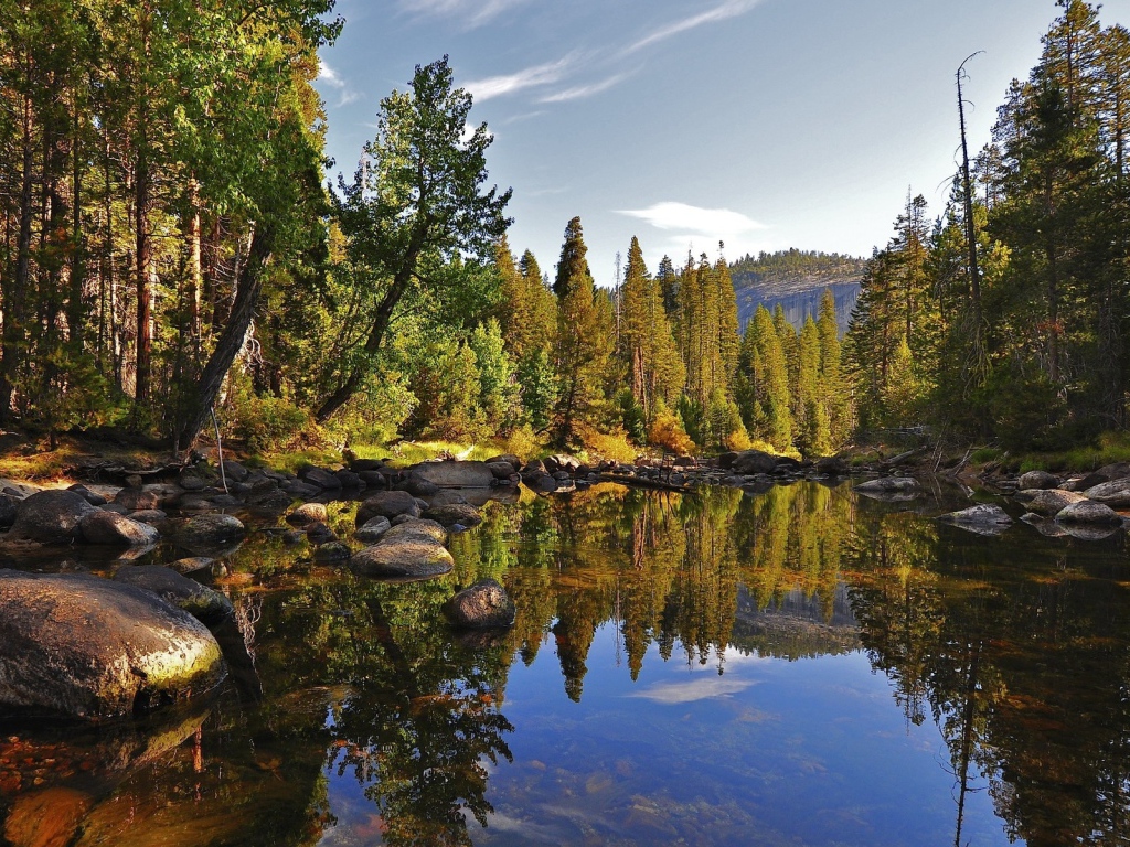 Маленькое лесное озеро