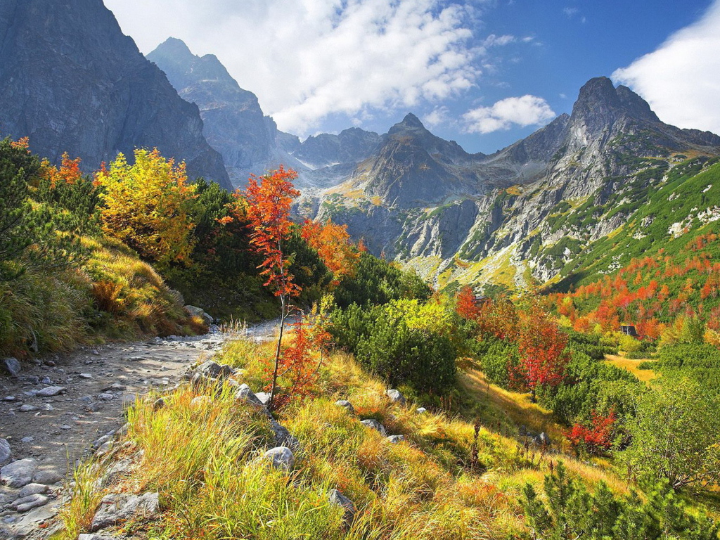 Горная тропа