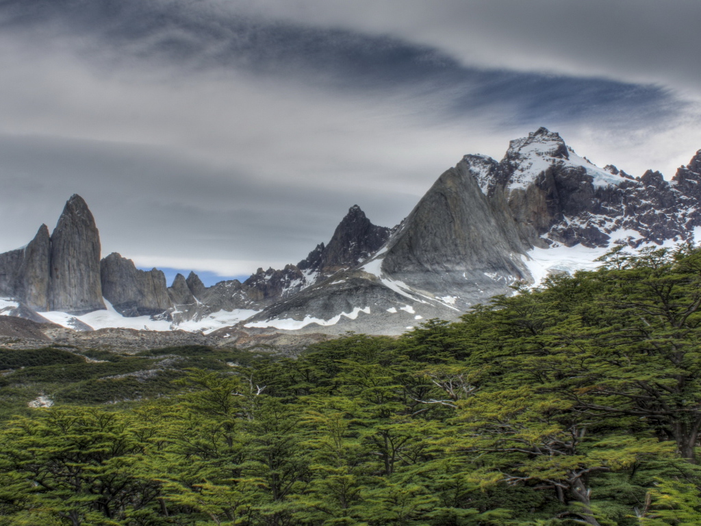 Скалы за лесом