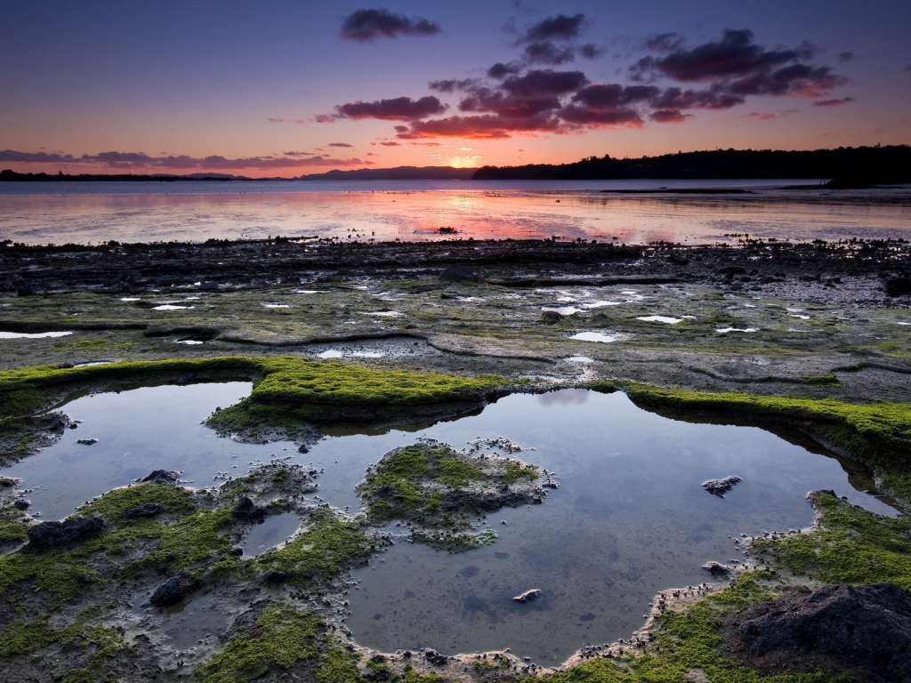 Омелевший берег