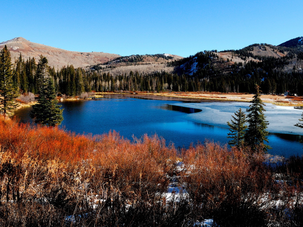 Красивый пейзаж