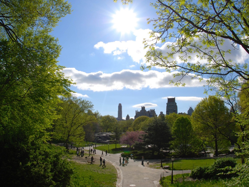 Городской парк