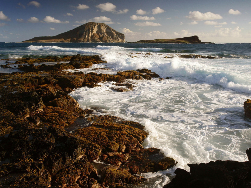 Морской берег