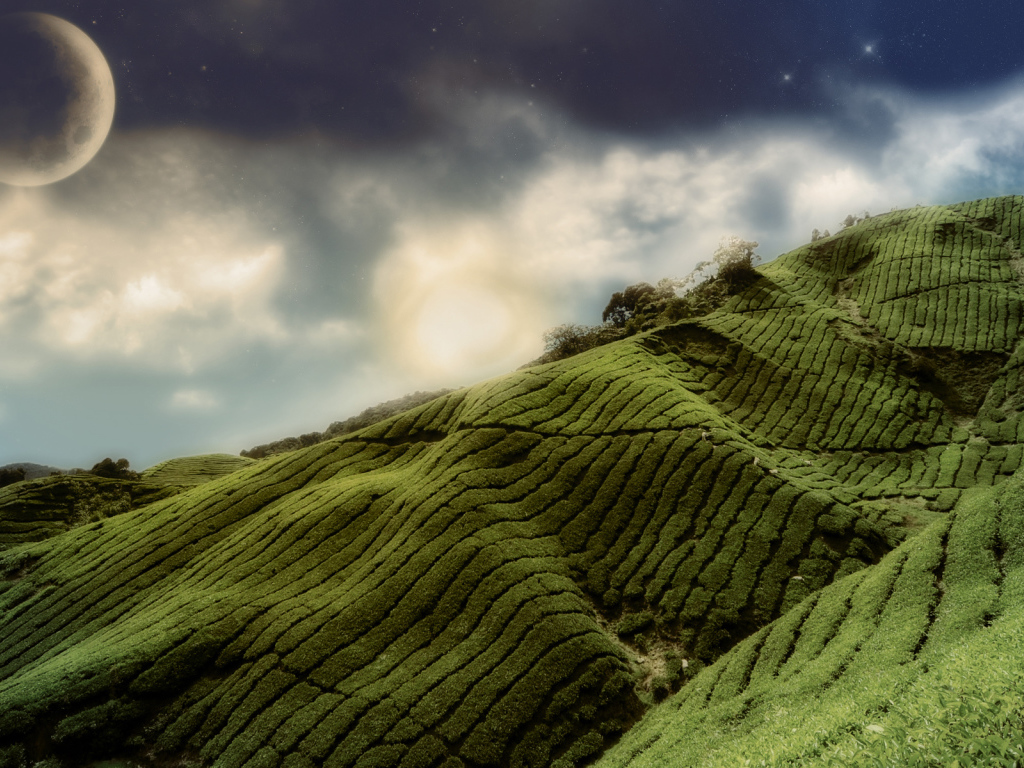 Зеленые холмы