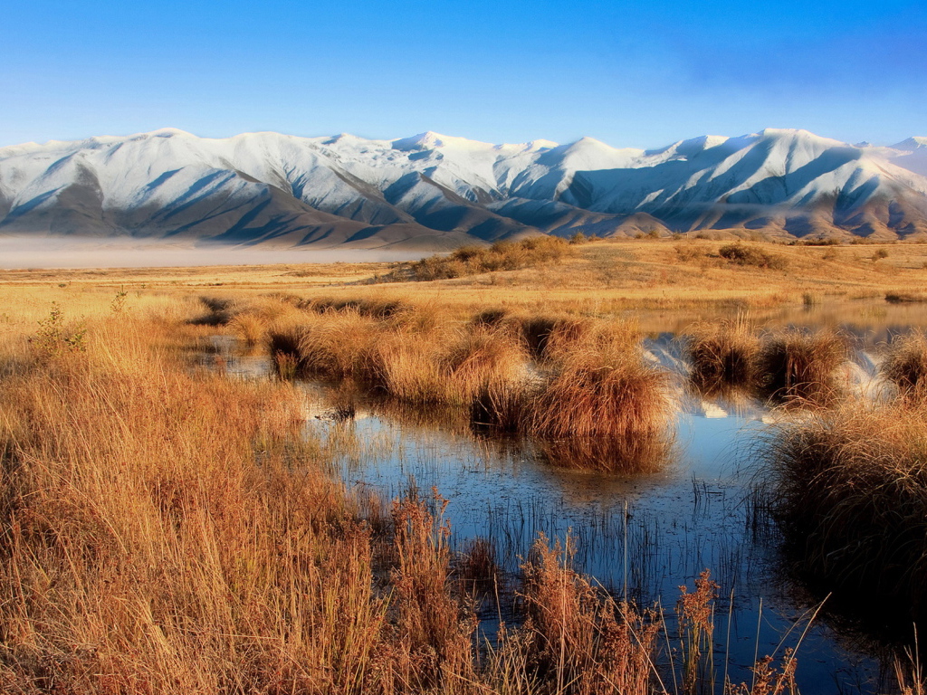 Болото и горы