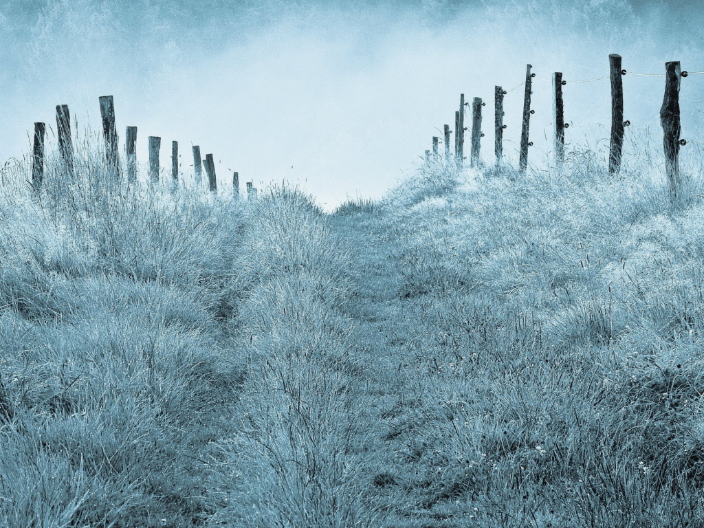 Туманным утром