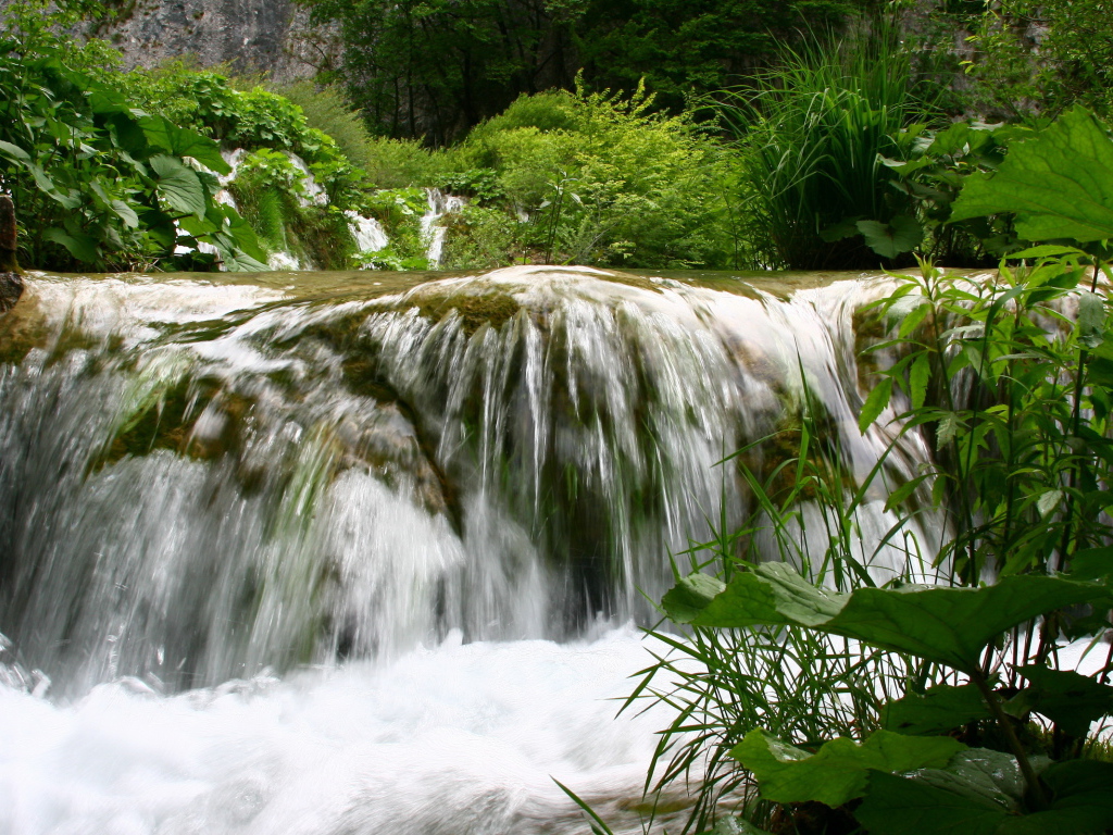 Игривый ручей